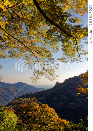 小仏峠から見る紅葉の山並みと関東平野 105817029