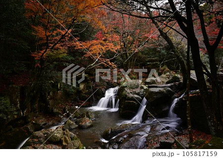 秋の尼ン滝 105817159