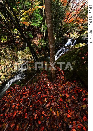 秋の尼ン滝 105817164