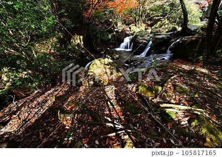 秋の尼ン滝 105817165