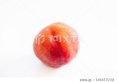 ワッサー ワッサー 105817238