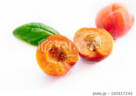 ワッサー ワッサー 105817242