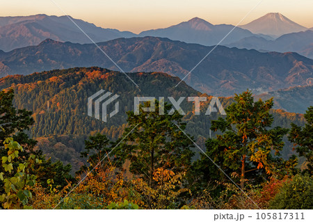 紅葉の高尾山から見る朝焼けの富士山と丹沢山地 紅葉の高尾山から見る朝焼けの富士山と丹沢山地 105817311