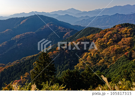景信山から見る紅葉の高尾山稜と丹沢の山並み 105817315