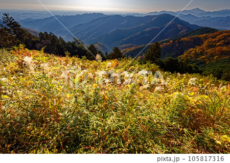 景信山から望む朝の高尾山稜と光る東京湾 105817316