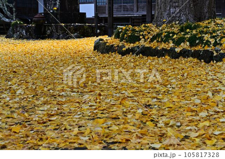 秋の宇土観音 105817328