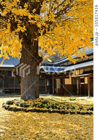 秋の宇土観音 105817416