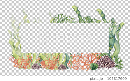Frame of colorful sea plants watercolor illustration isolated on white. Laminaria seaweed, coral, palmata hand drawn. Design element for package, label, signboard, card, template, marine collection Frame of colorful sea plants watercolor illustration isolated on white. Laminaria seaweed, coral, palmata hand drawn. Design element for package, label, signboard, card, template, marine collection 105817609