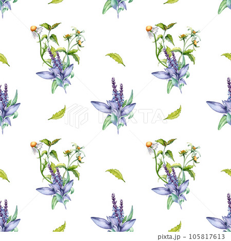 Sage herbal plant, bidens tripartita watercolor seamless pattern isolated on white background. Salvia, nettle, camomile, daisy useful flowers hand drawn. Design for textile, package, wrapping, fabric Sage herbal plant, bidens tripartita watercolor seamless pattern isolated on white background. Salvia, nettle, camomile, daisy useful flowers hand drawn. Design for textile, package, wrapping, fabric 105817613