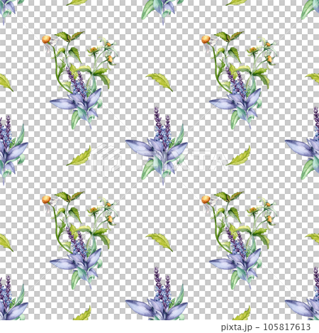Sage herbal plant, bidens tripartita watercolor seamless pattern isolated on white background. Salvia, nettle, camomile, daisy useful flowers hand drawn. Design for textile, package, wrapping, fabric Sage herbal plant, bidens tripartita watercolor seamless pattern isolated on white background. Salvia, nettle, camomile, daisy useful flowers hand drawn. Design for textile, package, wrapping, fabric 105817613