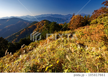 高尾山稜・景信山から見る紅葉の山並みと富士山・丹沢の眺め 高尾山稜・景信山から見る紅葉の山並みと富士山・丹沢の眺め 105817661