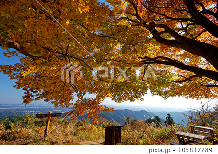 高尾山稜・景信山の紅葉と関東平野の眺め 105817789