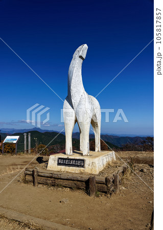 陣馬山山頂の白馬像 105817857