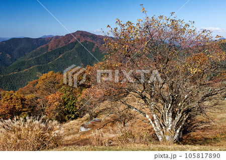 紅葉の陣馬山山頂から見る生藤山 105817890