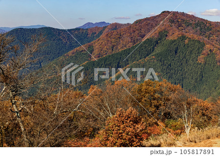 紅葉の陣馬山山頂から見る生藤山 紅葉の陣馬山山頂から見る生藤山 105817891