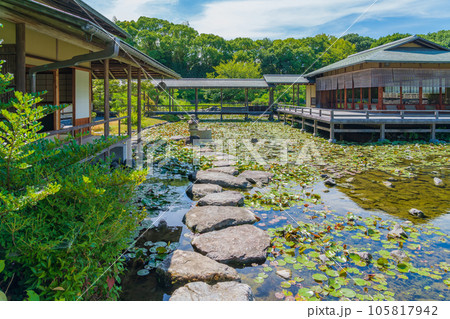 白鳥庭園、美しい日本庭園〈愛知県名古屋市〉 105817942