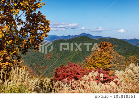 紅葉の陣馬山から見る大岳山 105818361