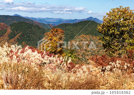 紅葉の陣馬山から見る大岳山と奥多摩の山並み 105818362