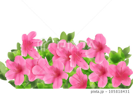 五月躑躅（サツキツツジ）、皐月（サツキ）の花のカード1 105818431