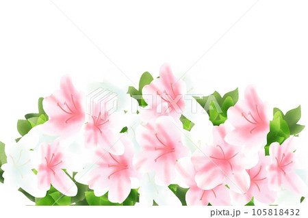 五月躑躅(サツキツツジ)、皐月(サツキ)の花のカード2 五月躑躅(サツキツツジ)、皐月(サツキ)の花のカード2 105818432