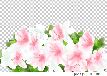 五月躑躅(サツキツツジ)、皐月(サツキ)の花のカード2 五月躑躅(サツキツツジ)、皐月(サツキ)の花のカード2 105818432