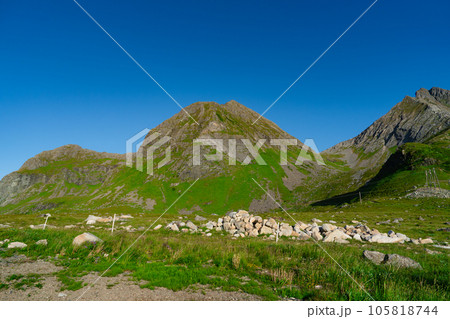 Lofoten island, Norway Summer Landscape Lofoten is known for a distinctive scenery of mountains, sea 105818744