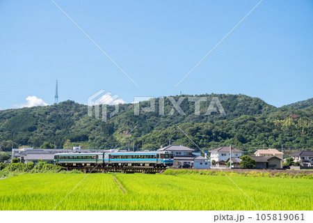 【徳島線】田園地帯を駆ける特急剣山 105819061