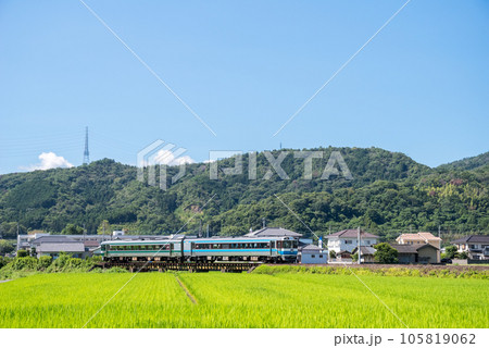 【徳島線】田園地帯を駆ける特急剣山 105819062