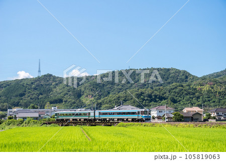 【徳島線】田園地帯を駆ける特急剣山 105819063