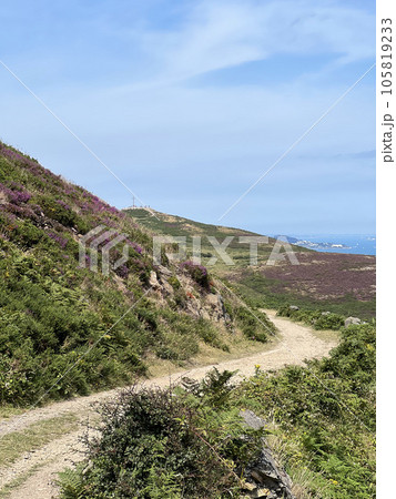 アイルランドの丘の景色 アイルランドの丘の景色 105819233