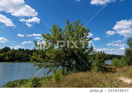 tree by the river and blue sky 105819657