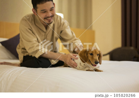 ホテルのベッドで飼い犬と戯れる男性 105820266