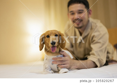 ホテルのベッドで飼い犬と戯れる男性 105820267