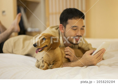 ホテルのベッドで飼い犬とスマートフォンを見る男性 105820284