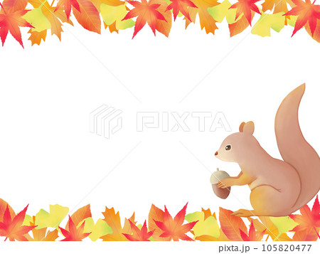 どんぐりを持ったリス　紅葉背景　上下 105820477