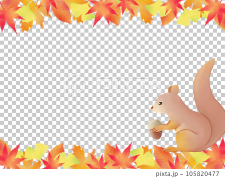 どんぐりを持ったリス　紅葉背景　上下 105820477