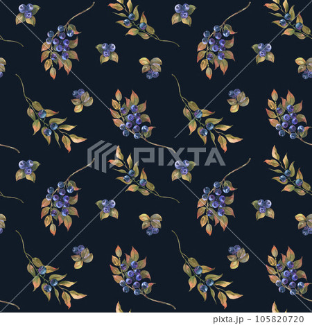 Watercolor Hand Drawn illustration, seamless pattern of Blueberry with green leaves. Forest Plant with Blue Berries isolated on black background. Watercolor Hand Drawn illustration, seamless pattern of Blueberry with green leaves. Forest Plant with Blue Berries isolated on black background. 105820720