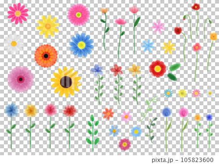 Stock Illustration: [Flower] Hand-painted watercolor illustration set 105823600