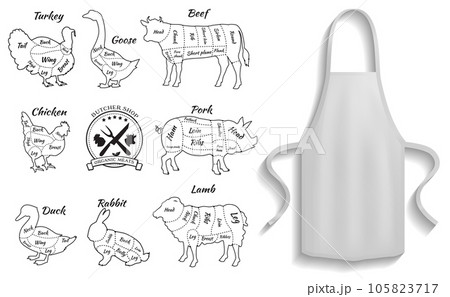 Protective garment for cooking near meat cutting icons. Apron next to culinary animal scheme 105823717