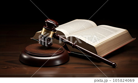 裁判のイメージ 105824069