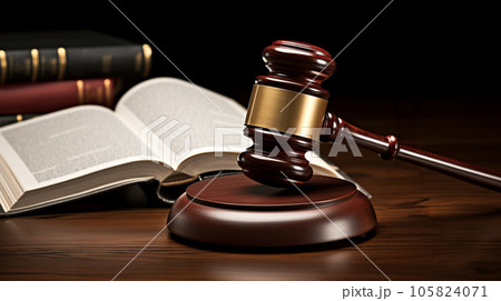 裁判のイメージ 105824071