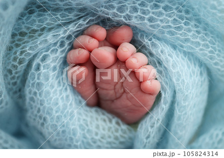 Baby foot on blue soft coverlet, blanket. Close-up of tiny, cute, bare toes, heels and feet of a newborn girl, boy. Detail of a newborn baby legs.Macro horizontal professional studio photo.  105824314