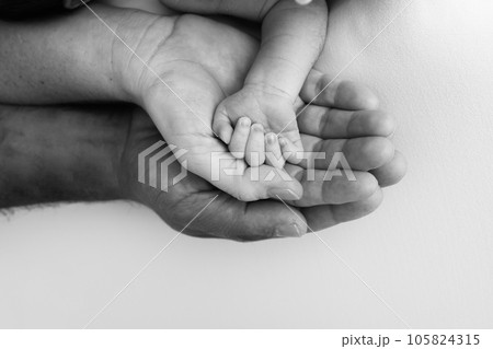 Three palms of a happy family. Small newborn hand with tiny fingers. The palm of parents, father and mother holds the handle of a newborn. Studio macro shot, black and white photo. Three palms of a happy family. Small newborn hand with tiny fingers. The palm of parents, father and mother holds the handle of a newborn. Studio macro shot, black and white photo. 105824315