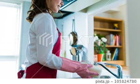 家事代行の仕事の女性 105824780