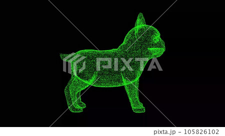 3D dog bulldog on black background. Object made of shimmering particles. Pets care concept. For title, text, presentation. 3d animation. 3D dog bulldog on black background. Object made of shimmering particles. Pets care concept. For title, text, presentation. 3d animation. 105826102