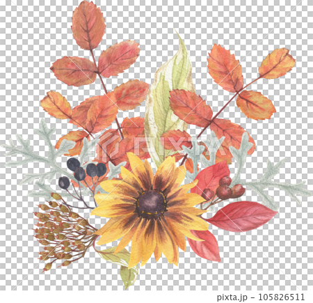Bright composition of plant elements. Autumn flowers berries and leaves watercolor in vintage style. 105826511