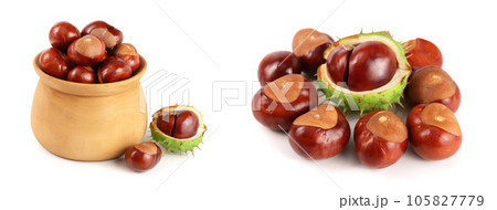 chestnut in a wooden bowl isolated on white background closeup chestnut in a wooden bowl isolated on white background closeup 105827779