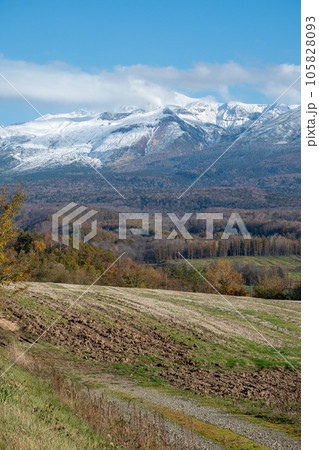 冠雪の火山の山頂と秋の森 十勝岳 冠雪の火山の山頂と秋の森 十勝岳 105828093