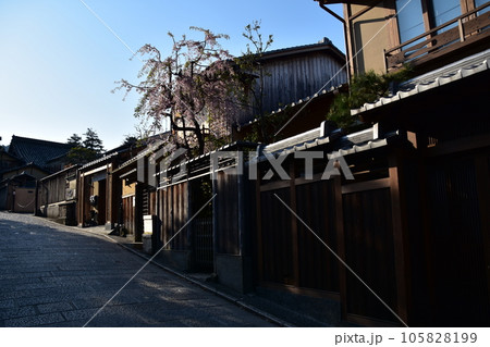日本の春の京都　二寧坂とレトロな商店街 105828199