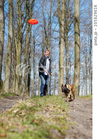 Man, dog and outdoor with flying disc for game, learning and running in woods for health, exercise or freedom. Pet animal, plastic plate and workout for body, care and adventure with games in forest Man, dog and outdoor with flying disc for game, learning and running in woods for health, exercise or freedom. Pet animal, plastic plate and workout for body, care and adventure with games in forest 105829816